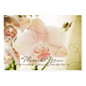 Pink Orchid • Wedding Favour Tag business cards