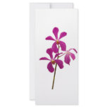 Pink Orchids rack cards