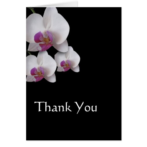 Pink Orchids Thank You Note Greeting Cards Zazzle.co.uk
