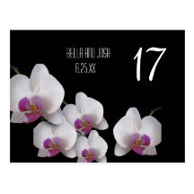 Pink Orchids Wedding Table Card Postcard