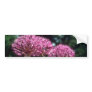Pink Ornamental Garlic, (Allium Aflatunense) flowe Bumper Sticker