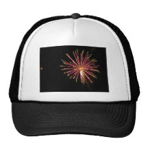 Pink Palm Trucker Hat