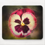 Pink Pansy With Water Droplets Mousepad