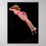 Pink Panties Poster 24.46" x 32.61"