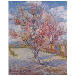 Pink Peach Tree in Blossom (Reminiscence of Mauve) t-shirts