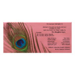 Pink Peacock Wedding Program Full Colour Rack Card