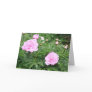 Pink Peony