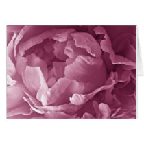 Pink Peony Closeup Card
