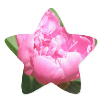 Pink Peony Stickers
