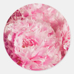 Pink Peony Stickers
