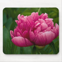 Pink Peony usepad