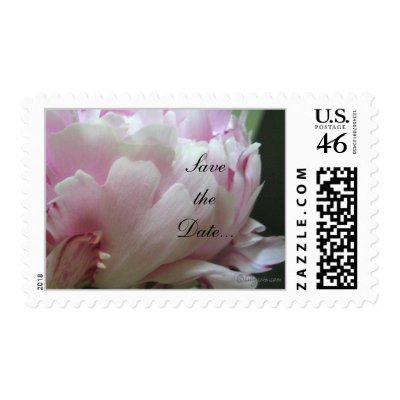 Pink Peony Wedding Invitation Postage Stamps by naturalilly
