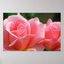 Pink Perfect pink flowers Poster