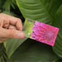 Pink Perfection Business Card business cards