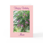 Pink perfection cards