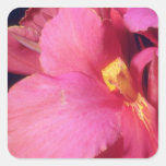 Pink Petals flowers Square Sticker