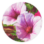 Pink Petunias Sticker