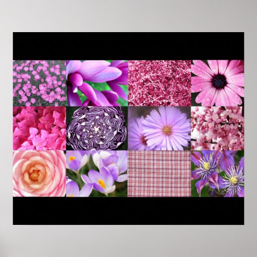 Pink Photo Collage Poster