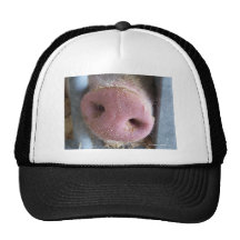 Pink Pig nose close up photograph Mesh Hats