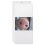 Pink Pig nose close up photograph rack cards