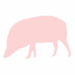 Pink Pig Photo Sculpture photo sculptures