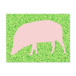 Pink Pig Postcard