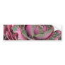 Pink Pink Cabbage flowers Bumper Sticker