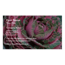 Pink Pink Cabbage flowers Business Card