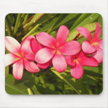 Pink plumeria mousepad