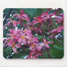 Pink Plumeria Mousepad