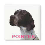 Pink pointer magnet