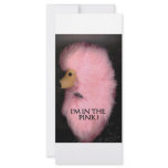 PINK POODLE 1 rack cards