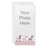 Pink Poodles On Parade Photo Card photo cards