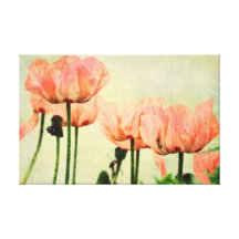 Pink Poppies and Floral Swirls Gallery Wrapped Canvas
