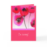 pink poppies are sorry cards