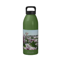 Pink Poppies Drinking Bottles