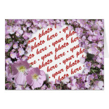 Pink Poppies Photo Frame Greeting Card
