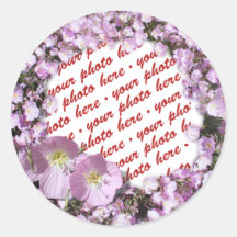 Pink Poppies Photo Frame Sticker