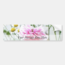 Pink Poppy And Feverfew Bumper Stickers