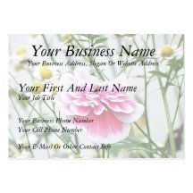 Pink Poppy And Feverfew Business Card Templates