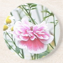 Pink Poppy And Feverfew Coaster