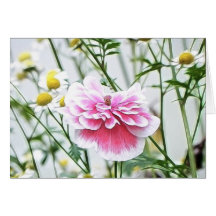 Pink Poppy And Feverfew Greeting Card