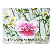 Pink Poppy And Feverfew Post Card