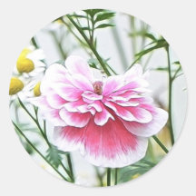 Pink Poppy And Feverfew Stickers