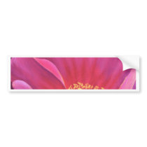 Pink Poppy Flower Painting Art - Multi