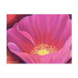 Pink Poppy Flower Painting Art - Multi postcards
