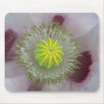 Pink Poppy Mouse Pad
