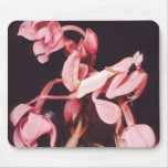 Pink Praying Mantis Camouflage mousepads