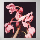 Pink Praying Mantis Camouflage posters