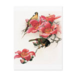 Pink Profusion postcards